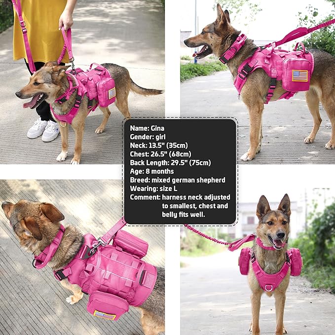 Forestpaw Pink Tactical Dog Harness for Large Dogs,Tactical Dog Collar with Bungee Leash Set,No Pull Military Dog Harness for Dog Walking Training,Adjustable for Medium Large Dogs,L Forestpaw
