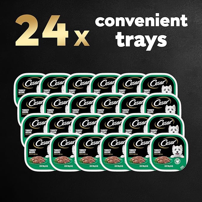 CESAR Soft Wet Dog Food Filets in Gravy Turkey Recipe, (24) 3.5 oz. Easy Peel Trays - PAWPICO