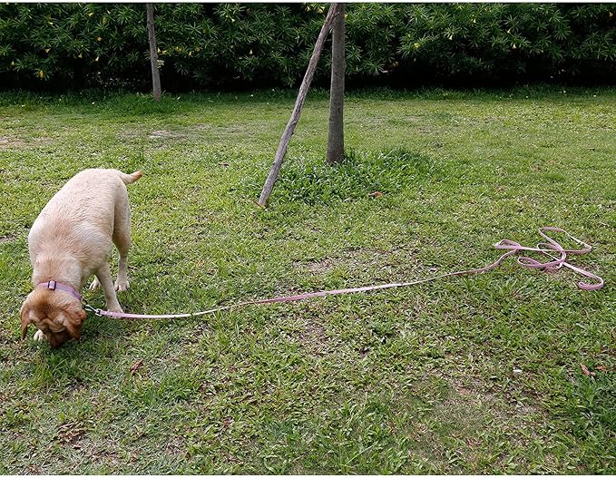 Long Leash Waterproof Training Longline Outdoor Dog Leash Great for Training, Beach, Yard, Play, Camping NIMBLE
