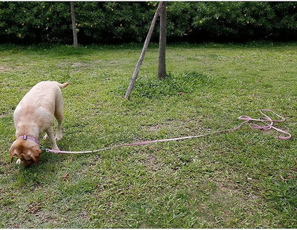 Long Leash Waterproof Training Longline Outdoor Dog Leash Great for Training, Beach, Yard, Play, Camping NIMBLE