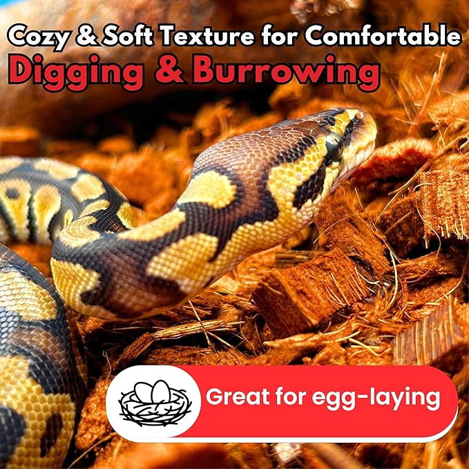 ReptiCare Coconut Husk Chips 12 Quarts of Ready to Use Organic Coco Husk Bedding for Ball Pythons, Snakes, Tortoises, Crested Geckos, Frogs, or Lizard Terrarium Tanks - 2.87 lb Gro-Med