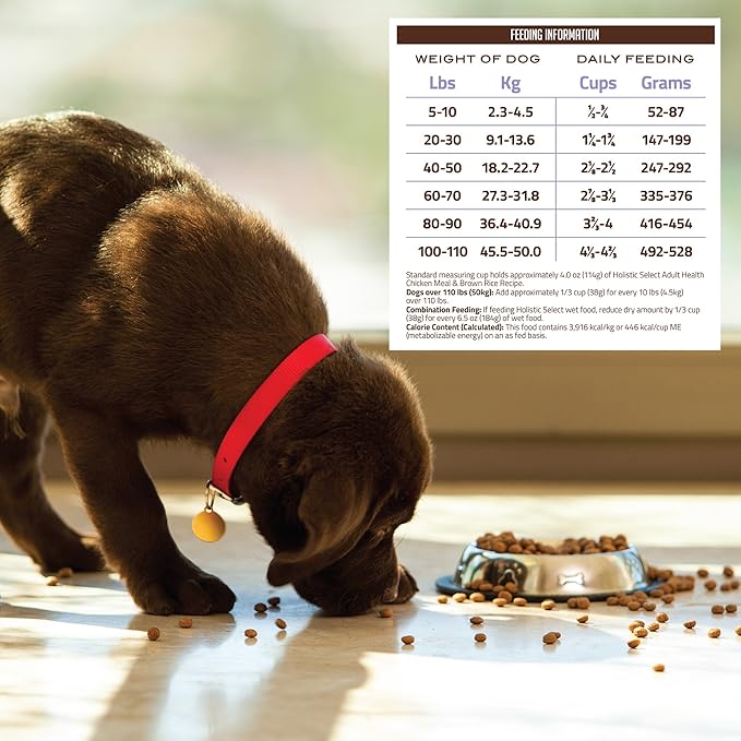 Holistic Select Natural Dry Dog Food, Chicken Meal & Rice Recipe, 30-Pound Bag - PAWPICO