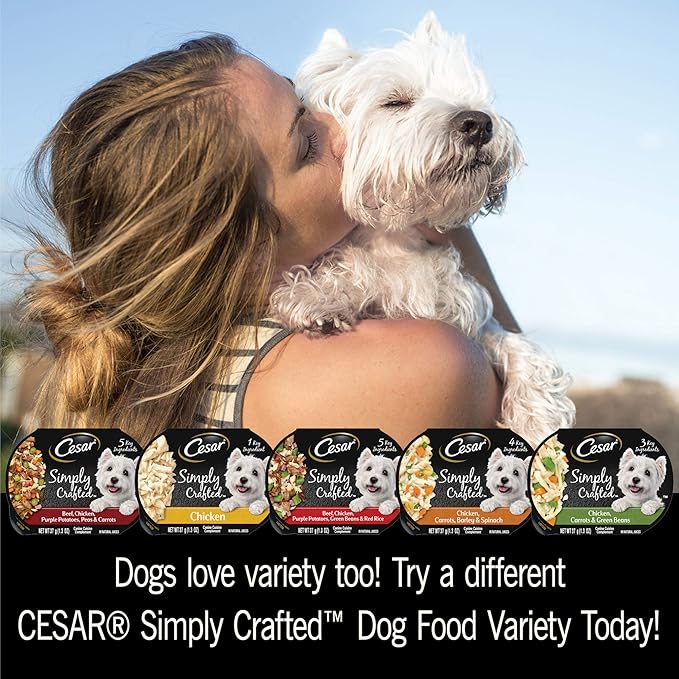 CESAR SIMPLY CRAFTED Adult Soft Wet Dog Food Meal Topper Beef, Chicken, Purple Potatoes, Green Beans & Red Rice, 1.3 oz. Tubs, (Pack of 10) - PAWPICO
