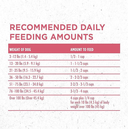 Purina ONE Natural, Sensitive Stomach Dry Dog Food, +Plus Skin & Coat Formula - 16.5 lb. Bag - PAWPICO