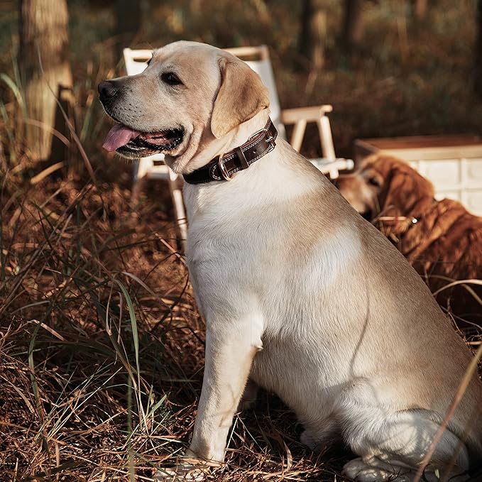 Genuine Leather Dog Collar, Heavy Duty Dog Collar, Wide Dog Collar for Small Dog, Medium Dog, Large Dog and Extra Large Dog (S: 0.8" Wide for 13.4"-15.8" Neck, Dual Stitch - Brown) DAIHAQIKO