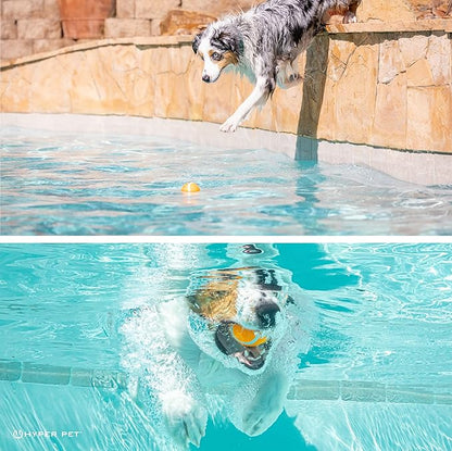 Hyper Pet Tennis Balls for Dogs (Pet Safe Ball for Exercise and Training) Interactive Dog Toys work with Hyper Pet K9 Kannon K2 Dog Ball Launcher - 4 Pack 2.5" Orange - PAWPICO