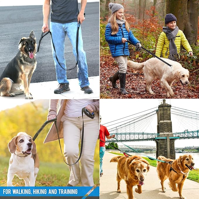 Heavy Duty Dog Leash - 2 Handles by Padded Traffic Handle for Extra Control, 6foot Long - Perfect for Medium to Large Dogs (6 ft, Black Green) JEWOSTER