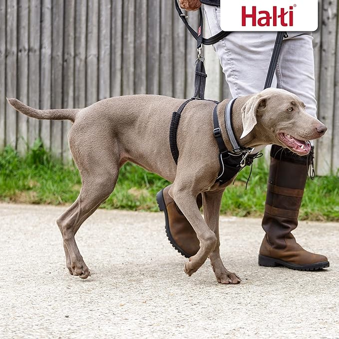 HALTI No Pull Harness - to Stop Your Dog Pulling on The Leash. Adjustable, Lightweight and Easy to Use. Reflective Dog Training Harness for Large Dogs (Size L),Black CompanyofAnimals