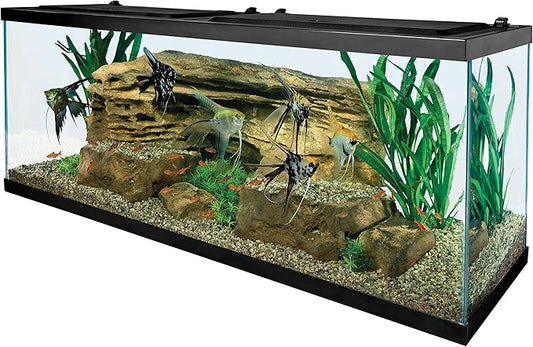 Tetra Glass Aquarium 55 Gallons, Rectangular Fish Tank (NV52018) Tetra
