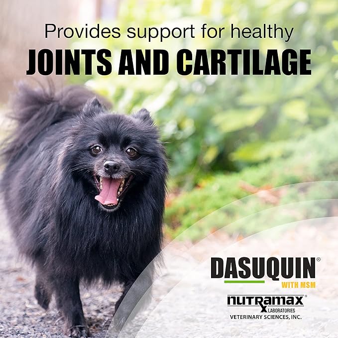 Nutramax Laboratories Dasuquin with MSM Joint Health Supplement for Small to Medium Dogs - With Glucosamine, MSM, Chondroitin, ASU, Boswellia Serrata Extract, and Green Tea Extract, 84 Soft Chews NutramaxLaboratories