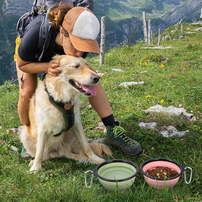 Dog Bowl Pet Collapsible Bowls, 2 Pack Collapsible Dog Water Bowls for Cats Dogs, Portable Pet Feeding Watering Dish for Walking Parking Traveling with 2 Carabiners (Large, Fairy Pink & Sprout Green) - PAWPICO