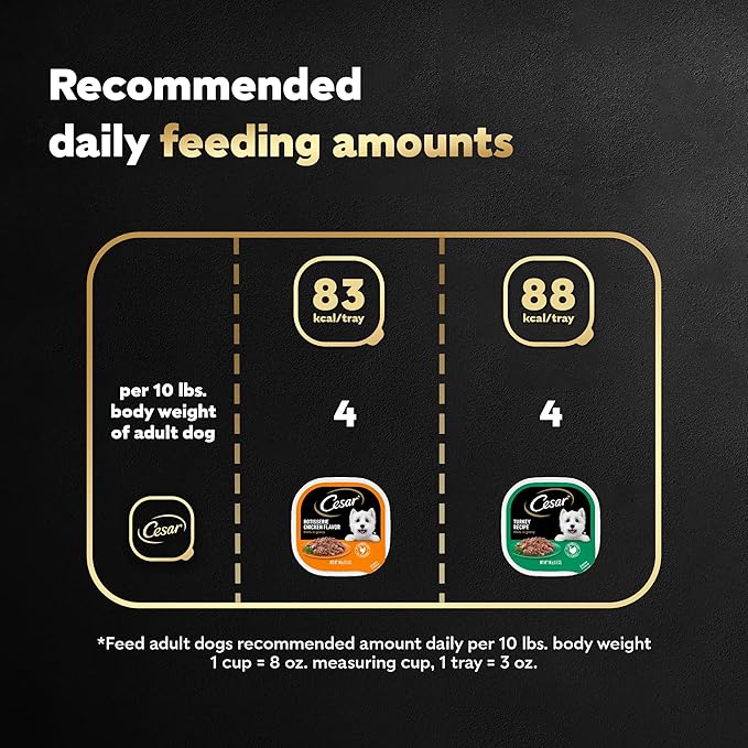 CESAR Filets in Gravy Adult Wet Dog Food, Poultry Lovers Variety Pack, 3.5 oz. Easy Peel Trays, Pack of 24 - PAWPICO