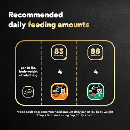 CESAR Filets in Gravy Adult Wet Dog Food, Poultry Lovers Variety Pack, 3.5 oz. Easy Peel Trays, Pack of 24 - PAWPICO