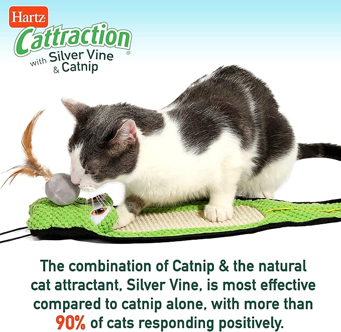 Hartz Cattraction Bell Mouse Cat Toy with Two Silver Vine & Catnip Sisal Mice - 2 Pack, All Breed Sizes - PAWPICO