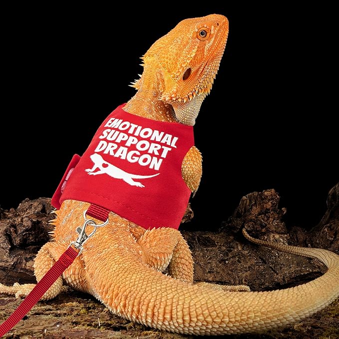Bearded Dragon Harness and Leash Set - Escape Proof Adjustable Lizard Reptiles Harness with 5 ft Short Leash for Walking Outdoor tukoaw