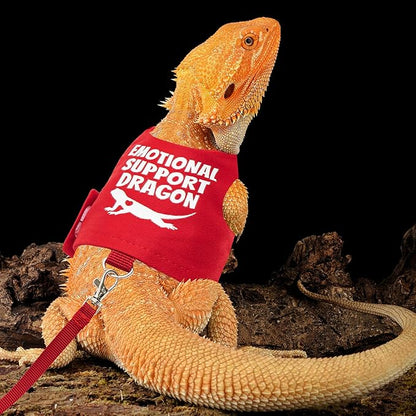 Bearded Dragon Harness and Leash Set - Escape Proof Adjustable Lizard Reptiles Harness with 5 ft Short Leash for Walking Outdoor tukoaw