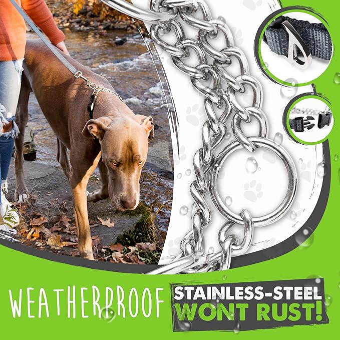 Mighty Paw Martingale Dog Collar 2.0 | Trainer Approved Limited Slip Collar with Stainless Steel Chain & Heavy Duty Buckle - Modified Cinch Collar for Gentle & Effective Pet Training - Medium, Grey MightyPaw