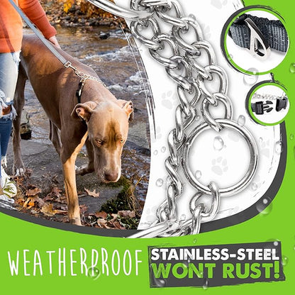 Mighty Paw Martingale Dog Collar 2.0 | Trainer Approved Limited Slip Collar with Stainless Steel Chain & Heavy Duty Buckle - Modified Cinch Collar for Gentle & Effective Pet Training - Medium, Grey MightyPaw