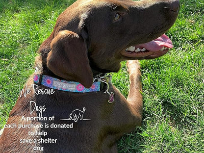 Lucky Love Dog, Boho Chic Dog Collar for Girl Boy Dogs, Vivid Pink and Turquoise Collar for Dogs, Comfortable, Soft, Cute Collars - (Large, Clara Collar) LuckyLoveDog