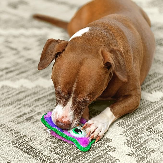 Outward Hound Durablez Tough Plush Squeaky Dog Toy, Owl, Purple, XS - PAWPICO