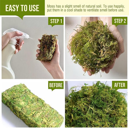 5Oz Moss for Reptiles, Moss for Terrarium, Sphagnum Moss, Reptile Bedding, Reptile Moss, Frog Moss, Snake Bedding, Moss for Turtle, Snail Substrate, Lizard Substrate, Substrate for Reptile Tank Gardenstory