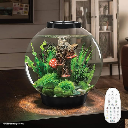 biOrb Classic 30 Acrylic 8-Gallon Aquarium with Multi-Color Remote-Controlled LED Lights Modern Tank for Tabletop Display, Black biOrb