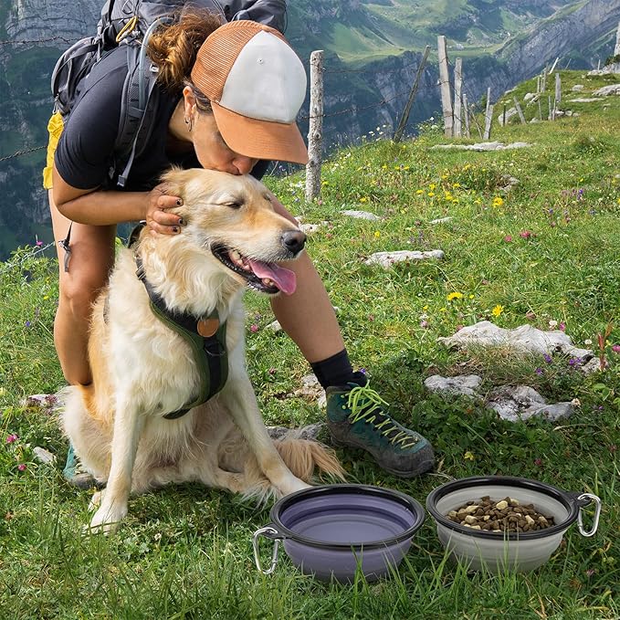 Dog Bowl Pet Collapsible Bowls, 2 Pack Collapsible Dog Water Bowls for Cats Dogs, Portable Pet Feeding Watering Dish for Walking Parking Traveling with 2 Carabiners (Large, Purple & Concrete Gray) - PAWPICO