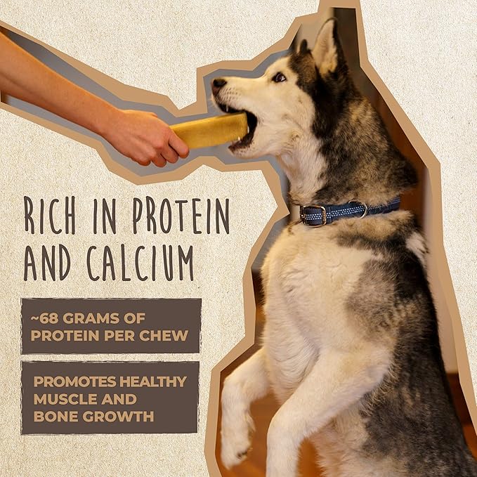 Mighty Paw Yak Cheese Chews for Dogs | All-Natural Long Lasting Pet Treats. Odorless and Great for Oral Health. Limited-Ingredient Chews for Puppies & Power-Chewers (Monster, 1 Pack) - PAWPICO