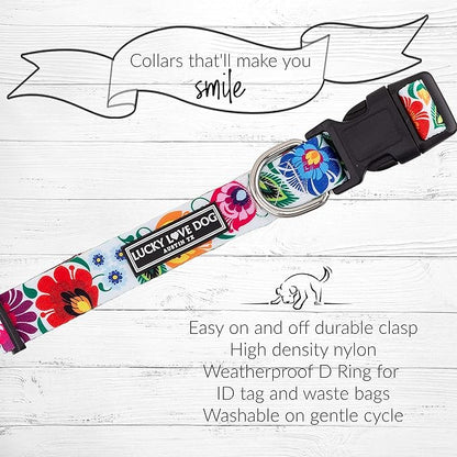 Lucky Love Dog - Easy Click Buckle Dog Collar with Leash Set Combo, Durable & Comfortable Collar for Male & Female Dogs, Pet Collar for Small to Large Dogs, Secure Fit - Ladybird Combo, X-Small LuckyLoveDog
