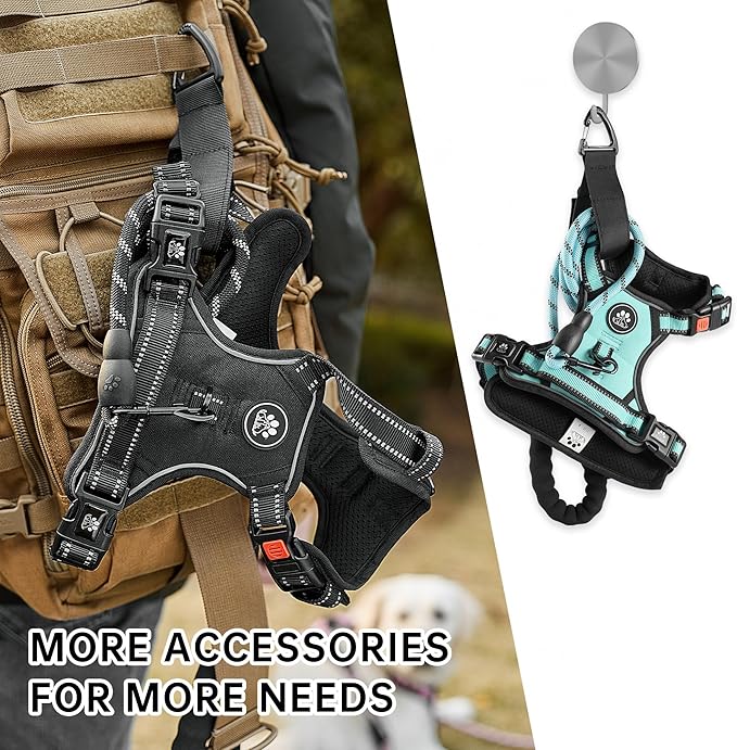 NESTROAD No Pull Dog Harness,Adjustable Oxford Dog Vest Harness with Leash,Reflective No-Choke Pet Harness with Easy Control Soft Handle for Medium Dogs(Medium,Turquoise) NESTROAD