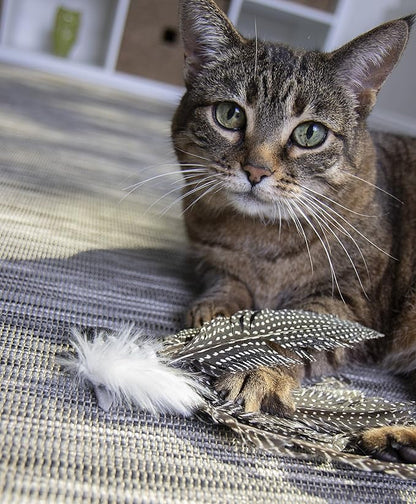 Petlinks HappyNip Zippy Zebra Feather Cat Toy, Contains Silvervine & Catnip - Black/White, One Size - PAWPICO