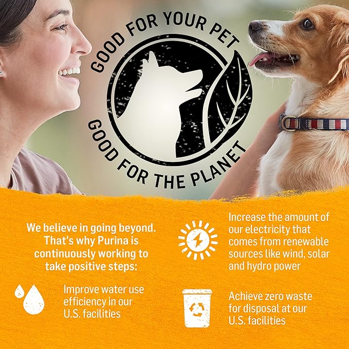 Purina Beyond Grain Free, Natural Pate Wet Dog Food, Grain Free Chicken, Carrot & Pea Recipe - (12) 13 oz. Cans - PAWPICO