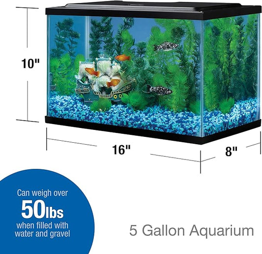 Tetra Glass Aquarium 5.5 Gallons, Rectangular Fish Tank Tetra