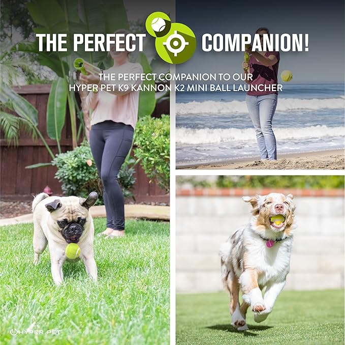 Hyper Pet Mini Tennis Balls for Dogs - 12 Pack (Dog Ball Dog Toys for Exercise, Fetch K9 Mini Kannon K2) Interactive Dog Toys & Dog Tennis Balls - Great Dog Toys for Small Dogs & Dog Gifts - PAWPICO