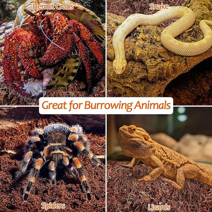 Riare 2 Pack Natural Coconut Fiber Substrate for Reptile- Premium Compressed Coconut Husk Terrarium Bedding for Reptile, Tortoise, Frogs, Snakes Hermit Crabs, Burrowing Animals Riare