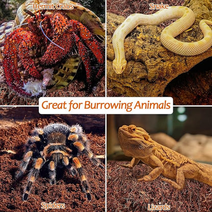 Riare 2 Pack Natural Coconut Fiber Substrate for Reptile- Premium Compressed Coconut Husk Terrarium Bedding for Reptile, Tortoise, Frogs, Snakes Hermit Crabs, Burrowing Animals Riare