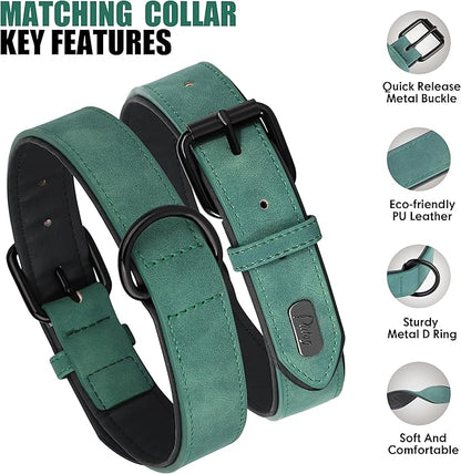 Didog Soft Padded Leather Dog Collar and Leash Set, Heavy Duty Dog Leash and Collar Set with Metal Buckle, Breathable Dog Collars with 4FT Leather Dog Leash for Small Medium Large Dogs, Green, S Didog