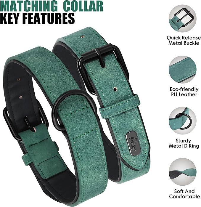 Didog Soft Padded Leather Dog Collar and Leash Set, Heavy Duty Dog Leash and Collar Set with Metal Buckle, Breathable Dog Collars with 4FT Leather Dog Leash for Small Medium Large Dogs, Green, L Didog