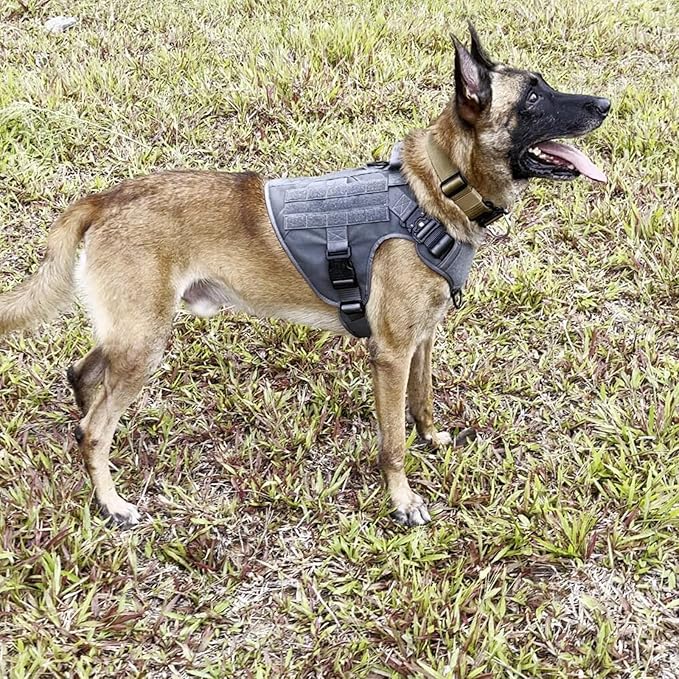 ICEFANG Tactical Dog Harness,X-Large Size, 2X Metal Buckle,Working Dog MOLLE Vest with Handle,No Pulling Front Leash Clip,Hook and Loop Panel - PAWPICO