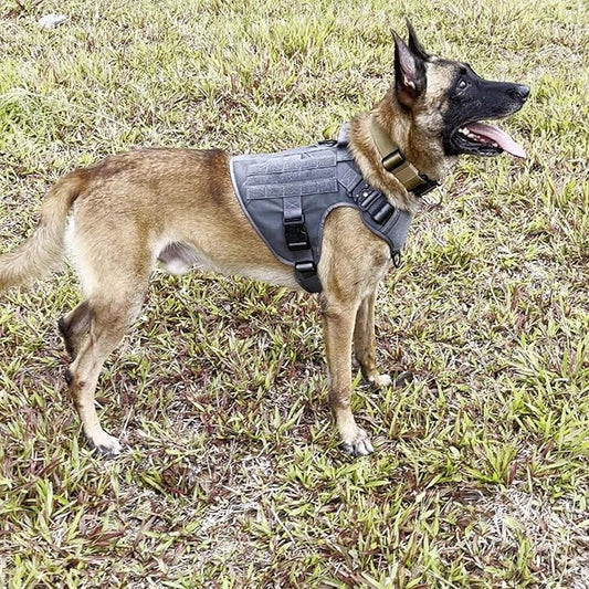 ICEFANG Tactical Dog Harness,X-Large Size, 2X Metal Buckle,Working Dog MOLLE Vest with Handle,No Pulling Front Leash Clip,Hook and Loop Panel - PAWPICO