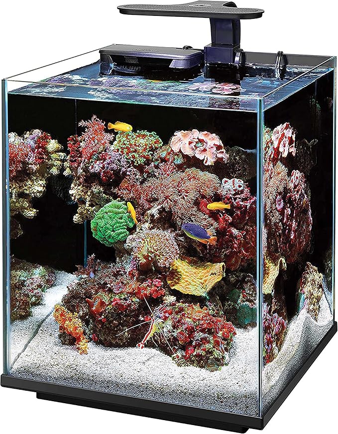 Coralife Aquarium Fish Tank Marine Salt Water Clip-On LED Light Coralife