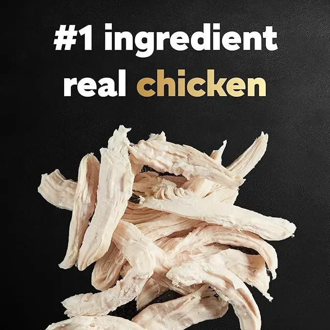 CESAR Small Breed Dry Dog Food Rotisserie Chicken Flavor and Spring Vegetables Garnish, 12 lb. Bag - PAWPICO