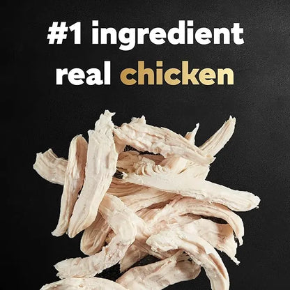 CESAR Small Breed Dry Dog Food Rotisserie Chicken Flavor and Spring Vegetables Garnish, 12 lb. Bag - PAWPICO