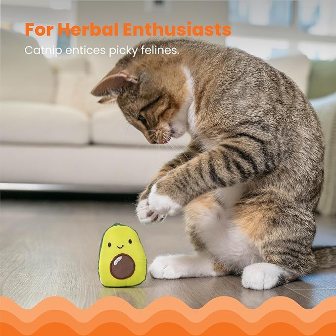 Catstages Lil' Avocato Dental Health Catnip Cat Chew Toy - PAWPICO