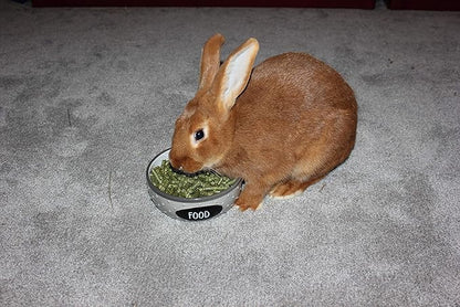 | Alfalfa Hay Food | Small Pet | Young and Adult | Pellets | 5 Pounds FAMILY+FARM+AND+FEED