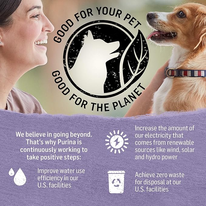 Purina Beyond Gravy, Beef, Chicken or Turkey in Gravy Ground Entree Grain Free Wet Dog Food Variety Pack - (Pack of 6) 12.5 oz. Cans - PAWPICO