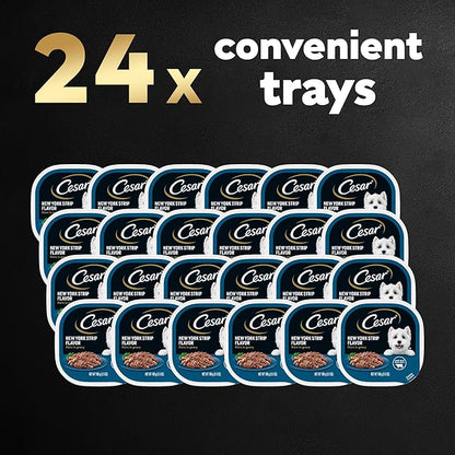 CESAR Adult Wet Dog Food Filets in Gravy New York Strip Flavor, 3.5 oz. Easy Peel Trays, Pack of 24 - PAWPICO