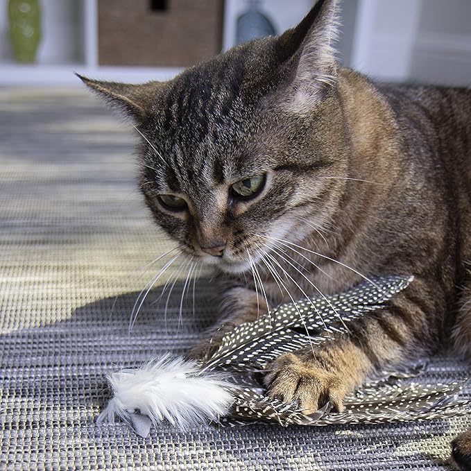 Petlinks HappyNip Zippy Zebra Feather Cat Toy, Contains Silvervine & Catnip - Black/White, One Size - PAWPICO