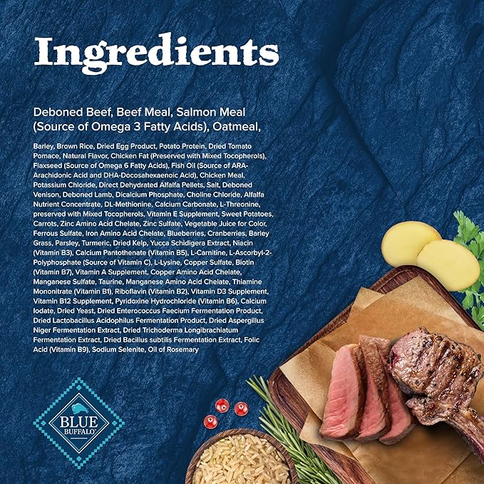 Blue Buffalo Wilderness High-Protein Rocky Mountain Recipe Dry Food for Puppies, Red Meat & Grains, 4.5-lb. Bag - PAWPICO