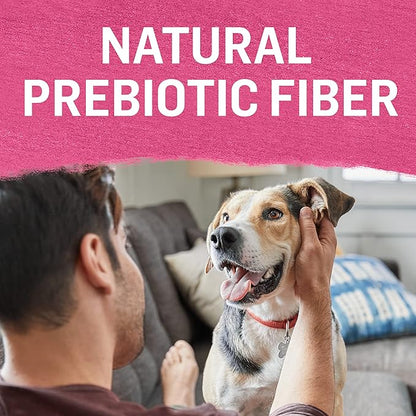 Purina Beyond Grain Free, Natural Gravy Wet Dog Food, Grain Free Beef & Spinach Recipe - (12) 12.5 oz. Cans - PAWPICO